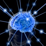 brain-763982-1 brain-763982-1